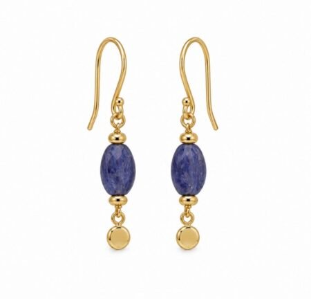 Kyanite Earrings - 9ct Gold